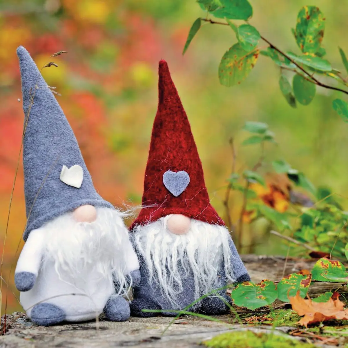 Les hardvibles de la région de Ferrette