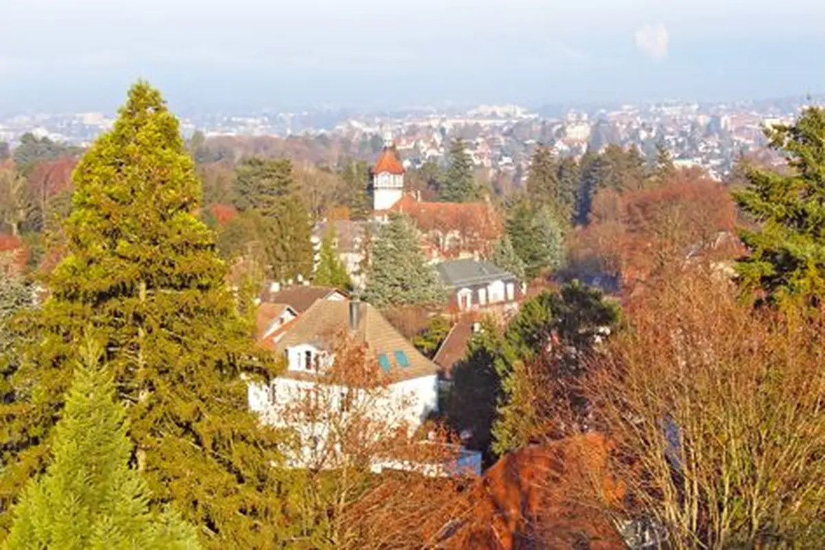 Les hauteurs de Mulhouse