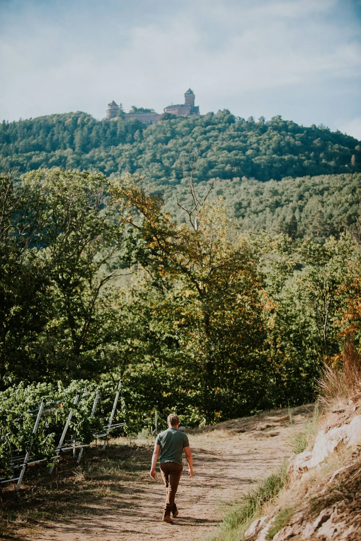 Les Hospitalités de Sainte Joie : un dîner gastronomique au cœur du vignoble alsacien