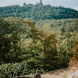 Les Hospitalités de Sainte Joie : un dîner gastronomique au cœur du vignoble alsacien