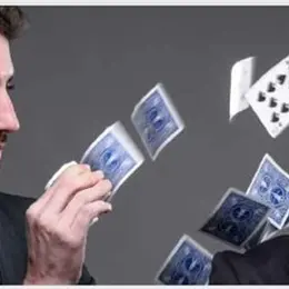 Les Illusionnistes dans Puzzling