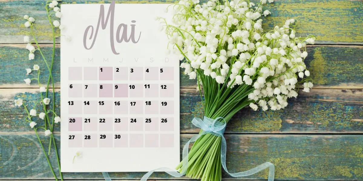 Les immanquables du mois de Mai 2024 dans le 68