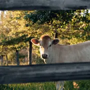 Les Incontournables de l'été au Manoir d'Apreval