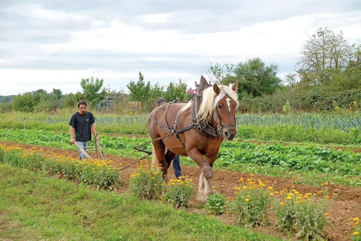 Les Jardins du Trèfle Rouge et le Jardin du Coquelicot