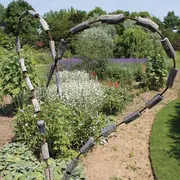 Les jardins remarquables en Alsace