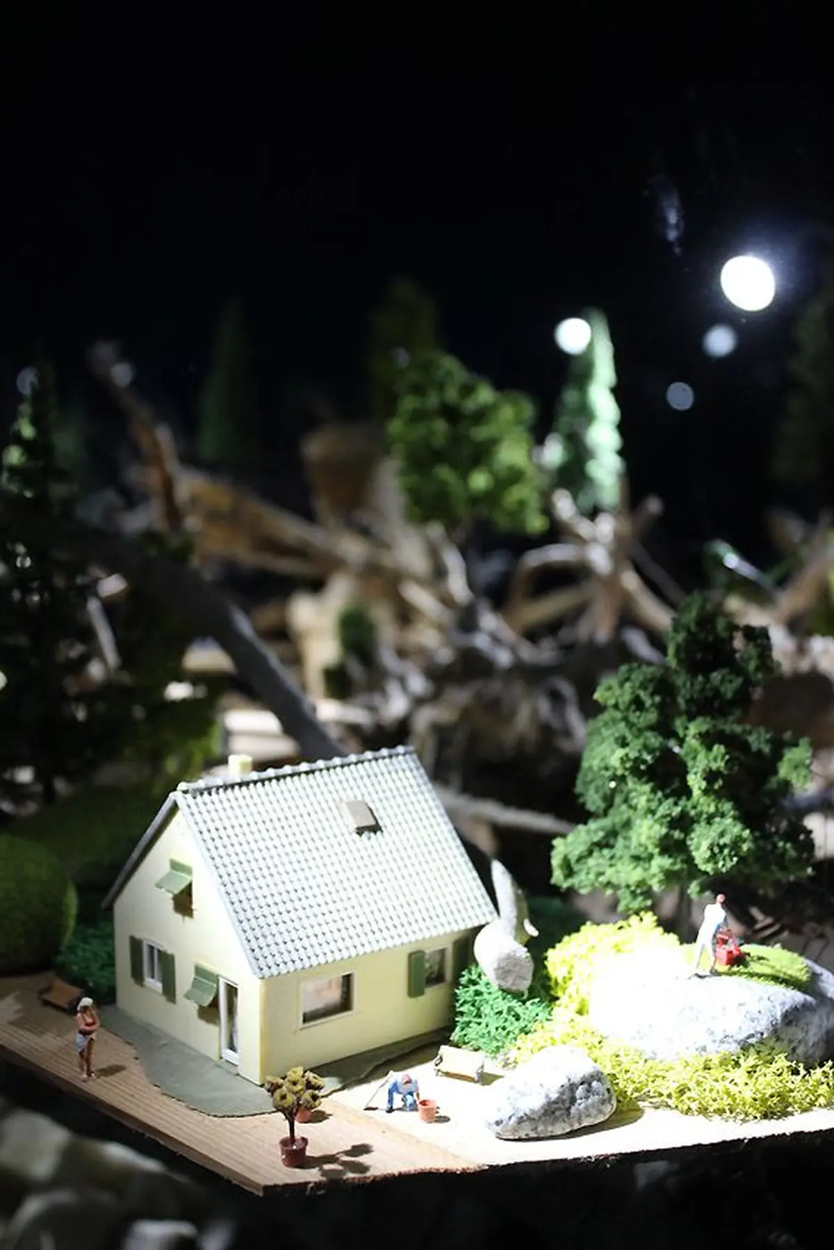 Les jardins miniatures