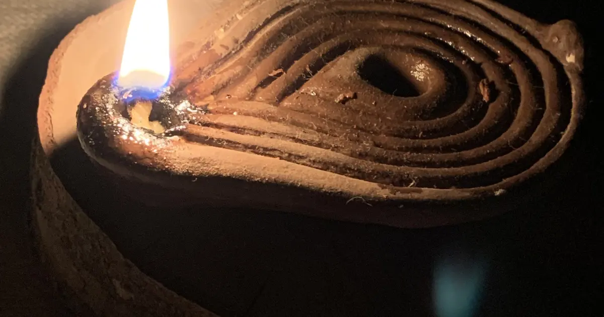 Les jeudis de l'été : fabrique ta lampe à huile !