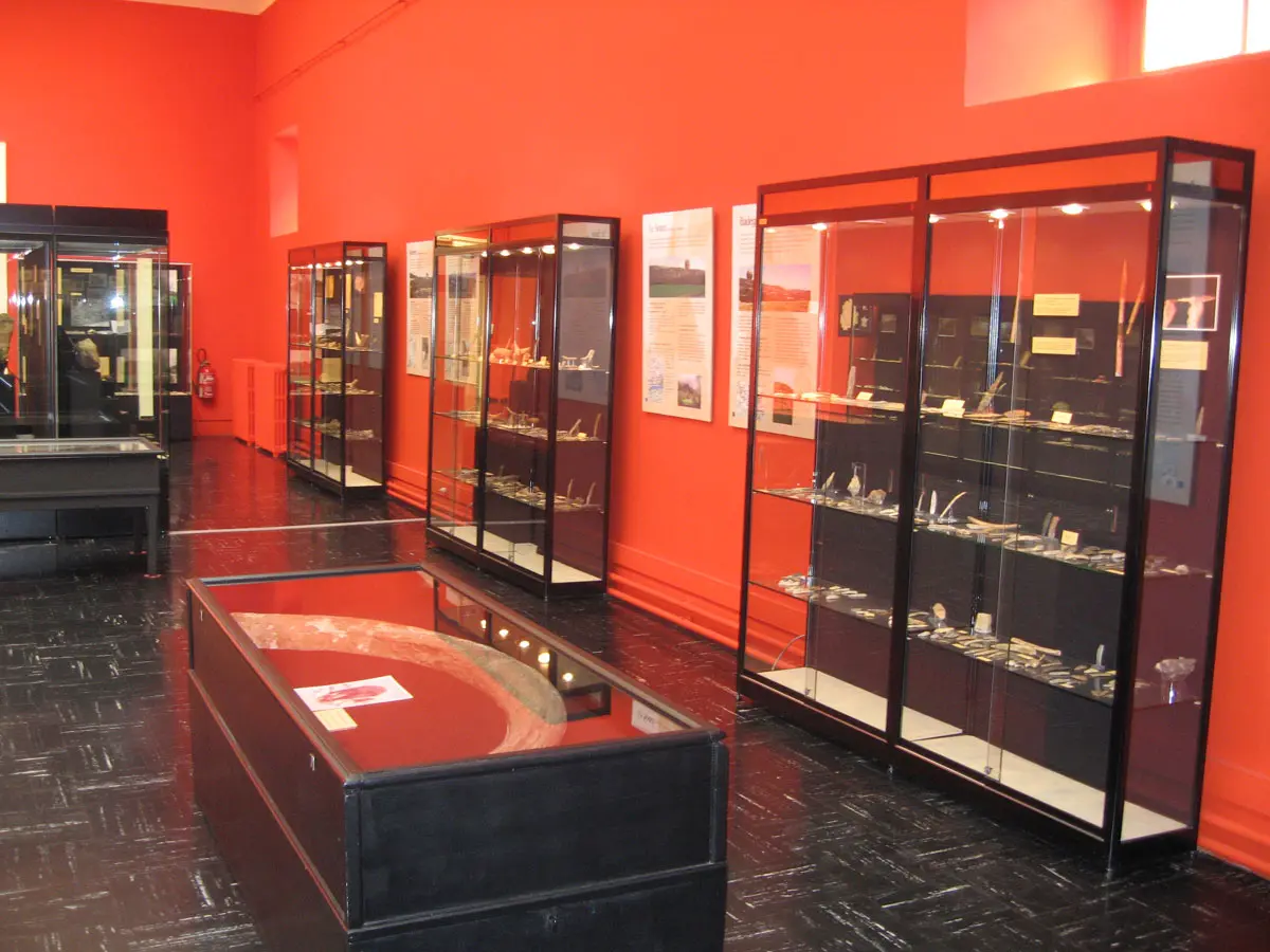 Les jeudis du Musée : beaux-arts
