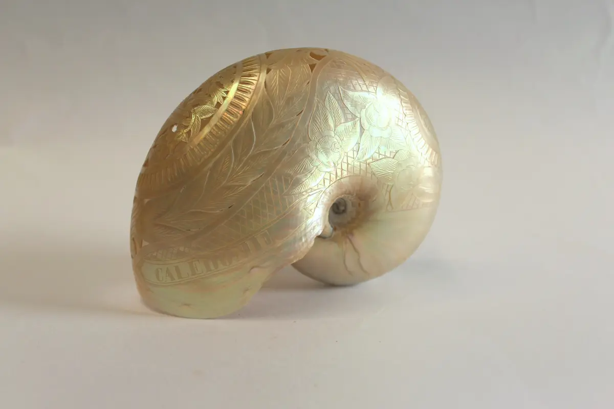 Les jeudis du musée : Les collections océaniennes