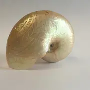 Les jeudis du musée : Les collections océaniennes