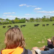 Les jeudis Gascons à la Ganadéria de Buros