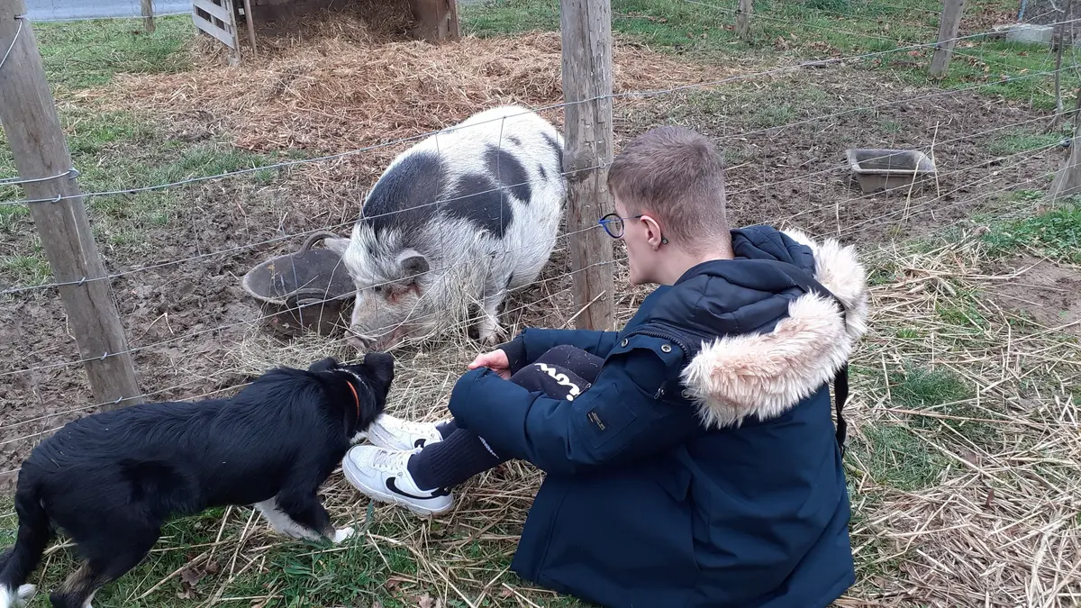 Les journées de la ferme Les Sabots de Laine