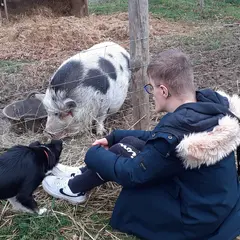 Les journées de la ferme Les Sabots de Laine