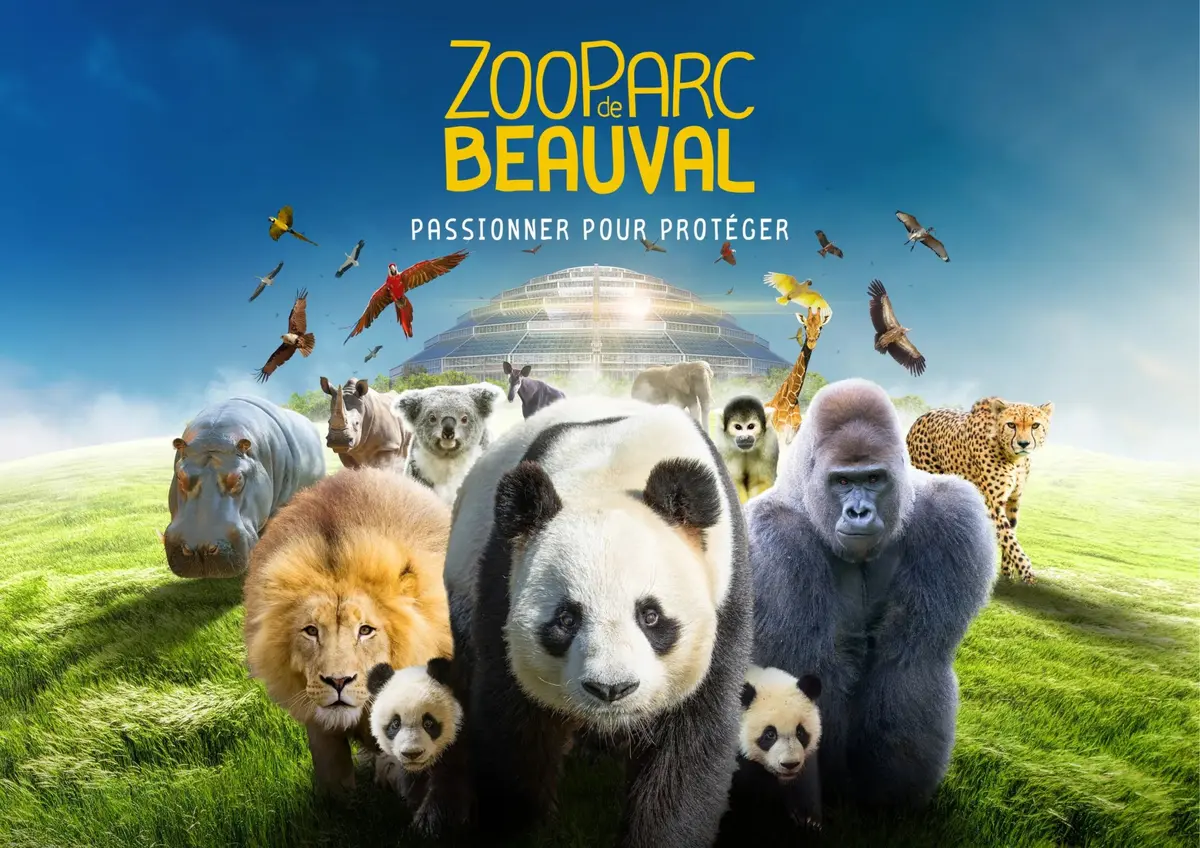 Les Journées des oubliés des vacances du Secours Populaire au Zoo Parc de Beauval