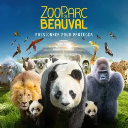 Les Journées des oubliés des vacances du Secours Populaire au Zoo Parc de Beauval