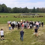 Les journées du patrimoine à Pinon