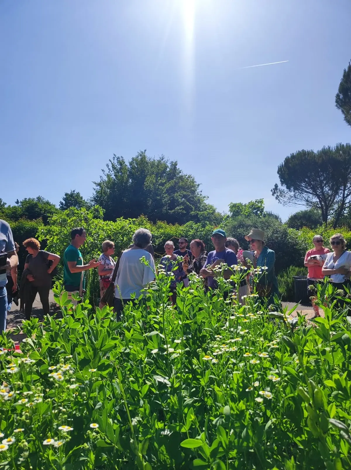 Les journées du patrimoine aux Jardins de Colettt