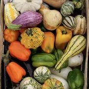 Les Journées du Potager