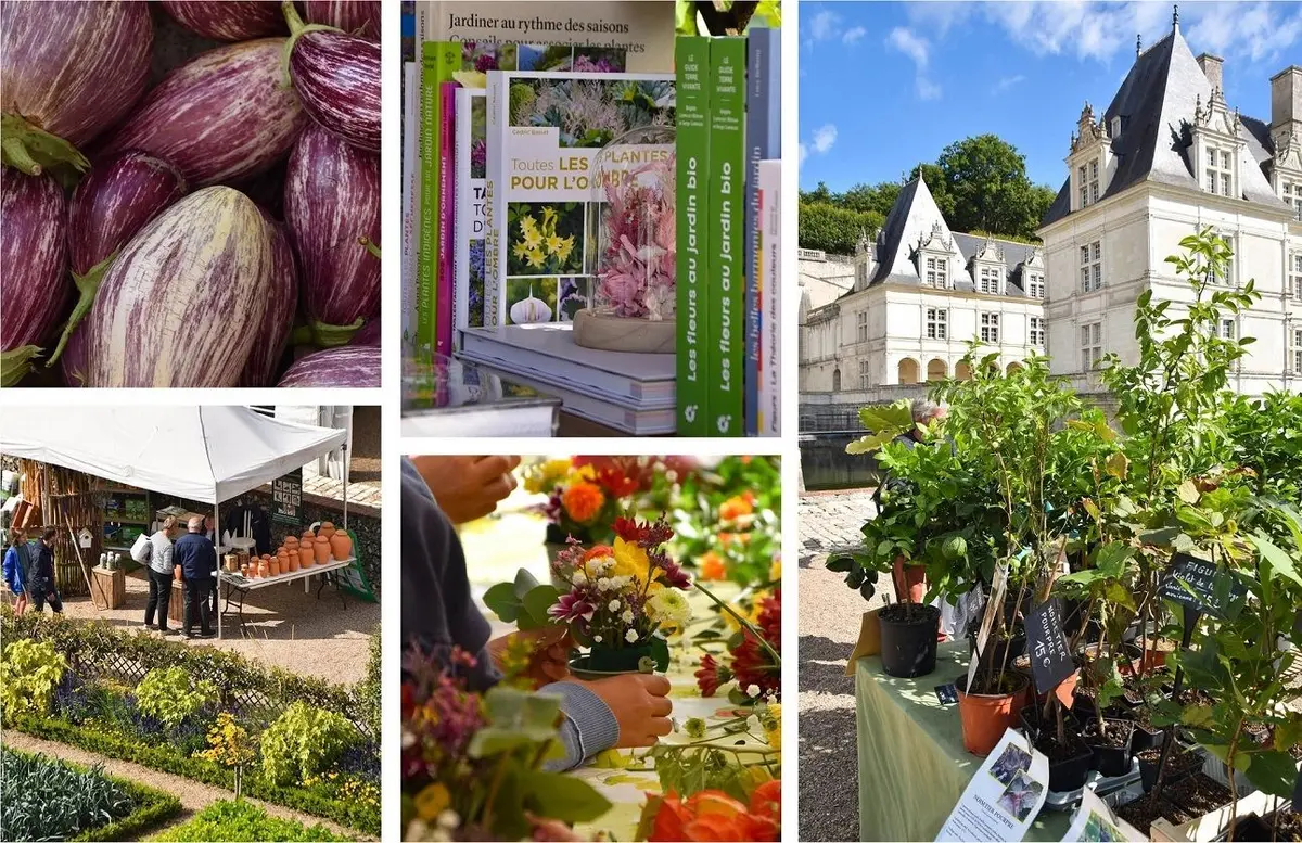 Les Journées du Potager au Château de Villandry : un week-end autour du jardinage en automne