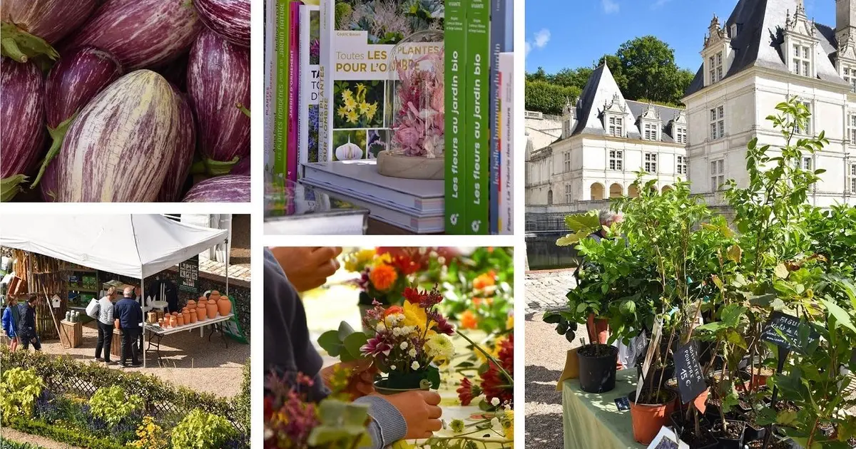 Les Journées du Potager au Château de Villandry : un week-end autour du jardinage en automne