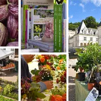 Les Journées du Potager au Château de Villandry : un week-end autour du jardinage en automne DR