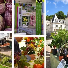 Les Journées du Potager au Château de Villandry : un week-end autour du jardinage en automne