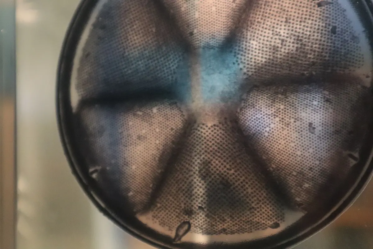 Les Journées Européennes du Patrimoine