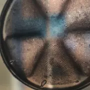 Les Journées Européennes du Patrimoine