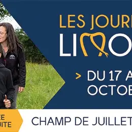 Les Journées Limousines Or Rouge