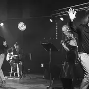 Les jumeaux en concert