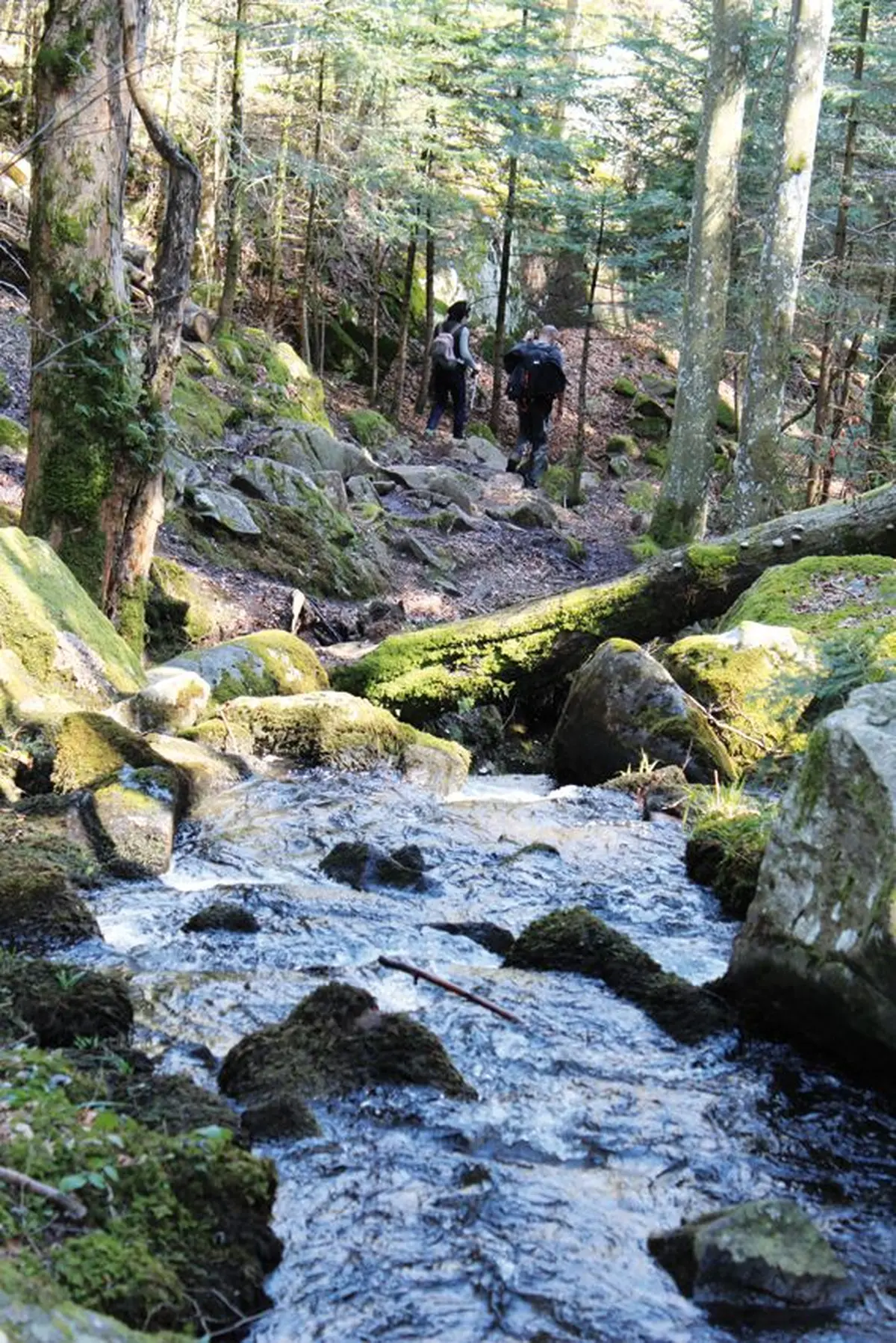 Le torrent de Neuweilherbach