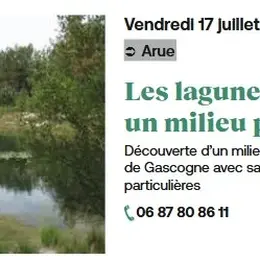 Les lagunes : un milieu particulier