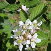 Les Lambesc'apades : Découverte de la Ferme de Cabrières