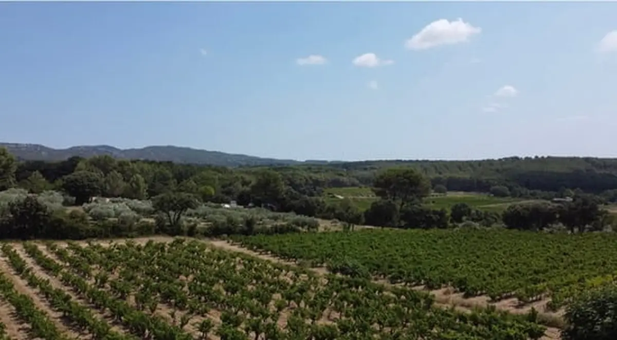 Les Lambesc'apades : Découverte du Domaine Beauchamp