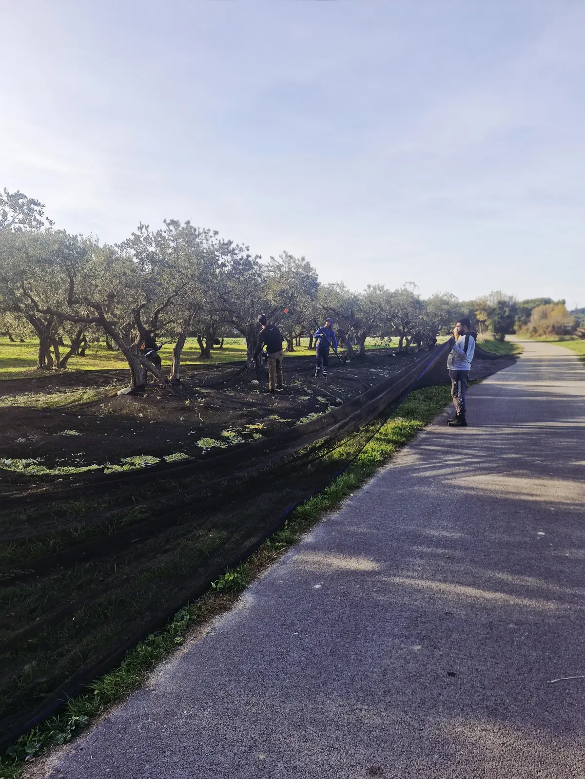 Les Lambesc'apades : Visite du Mas du Grand Croignes