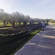 Les Lambesc'apades : Visite du Mas du Grand Croignes