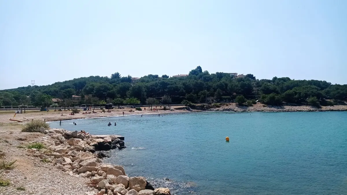 Les laurons, entre terre et mer