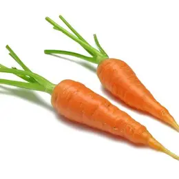 Les légumes de saison et de proximité 