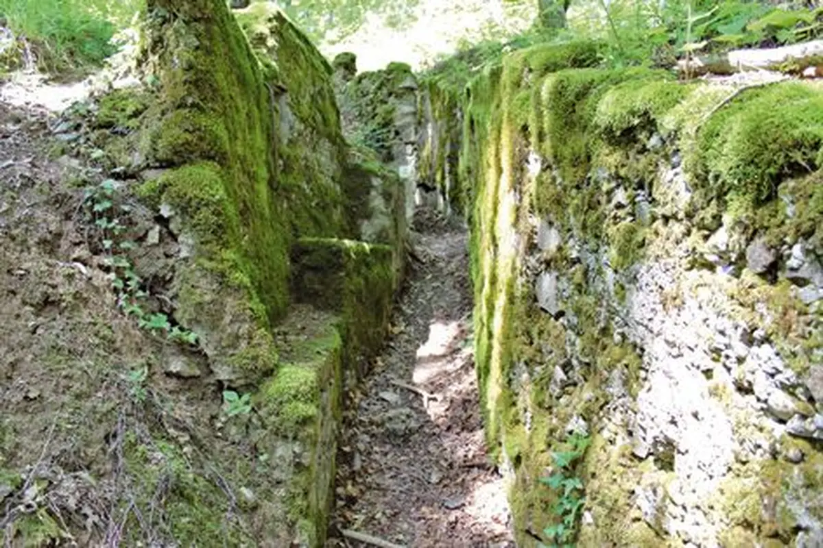 Les lignes allemandes : une tranchée