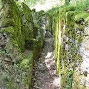 Escapade au Vieil-Armand, sur les traces des soldats de 14-18