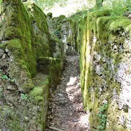 Escapade au Vieil-Armand, sur les traces des soldats de 14-18