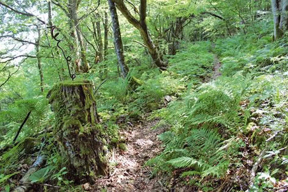 Les lignes françaises : un piquet d'amarrage