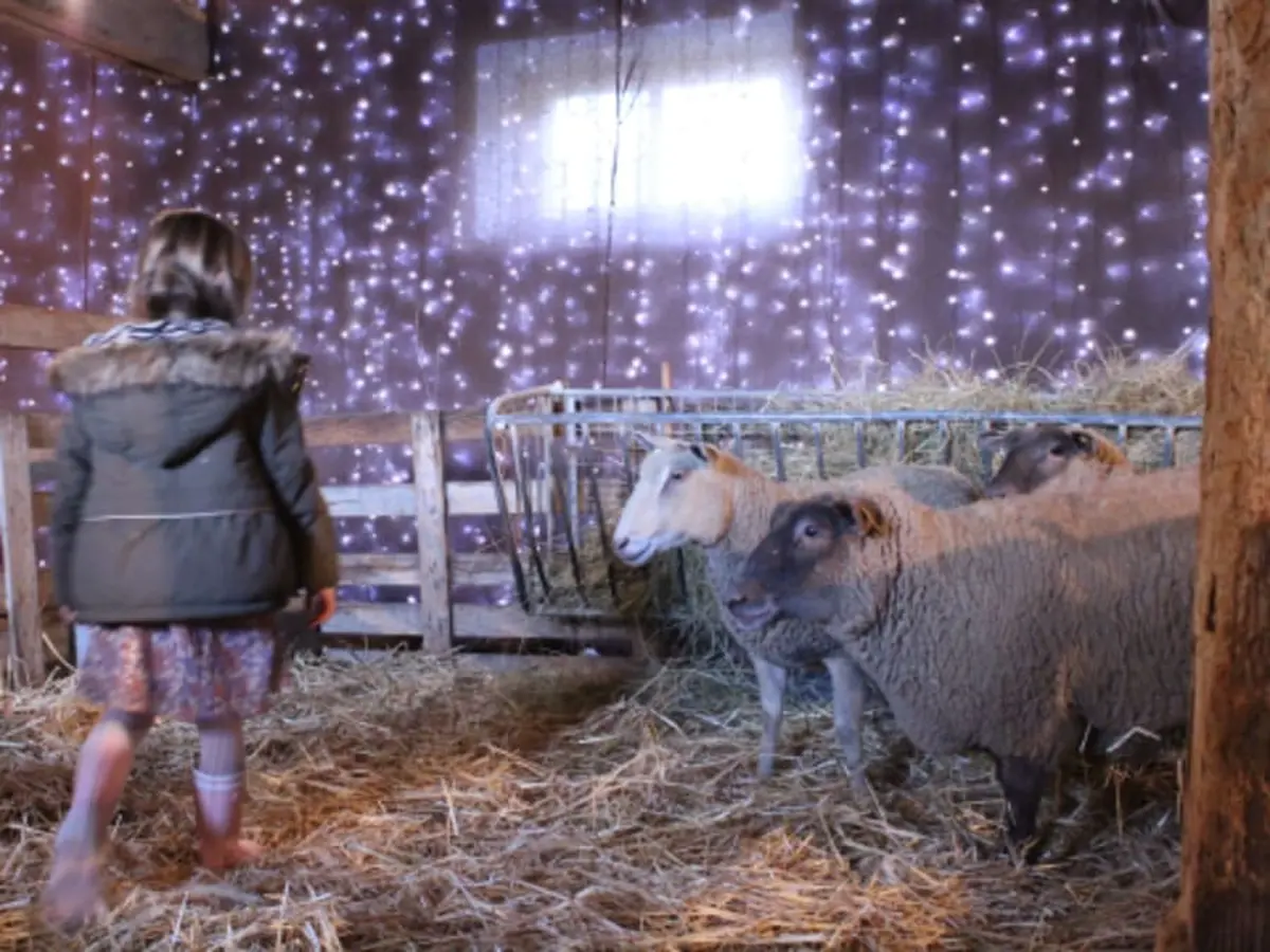 Les Lutins à la ferme de Gally de St Cyr l'Ecole (78)
