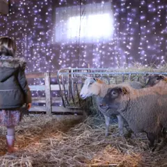 Les Lutins à la ferme de Gally de St Cyr l'Ecole (78)