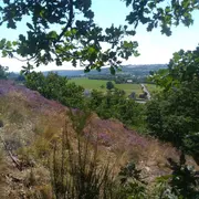 Les lutins des rochers