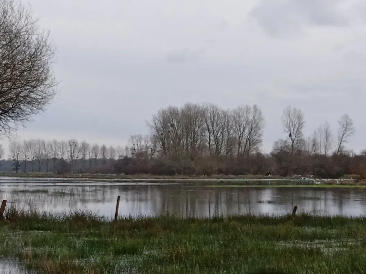 Les marais blancs de Carentan