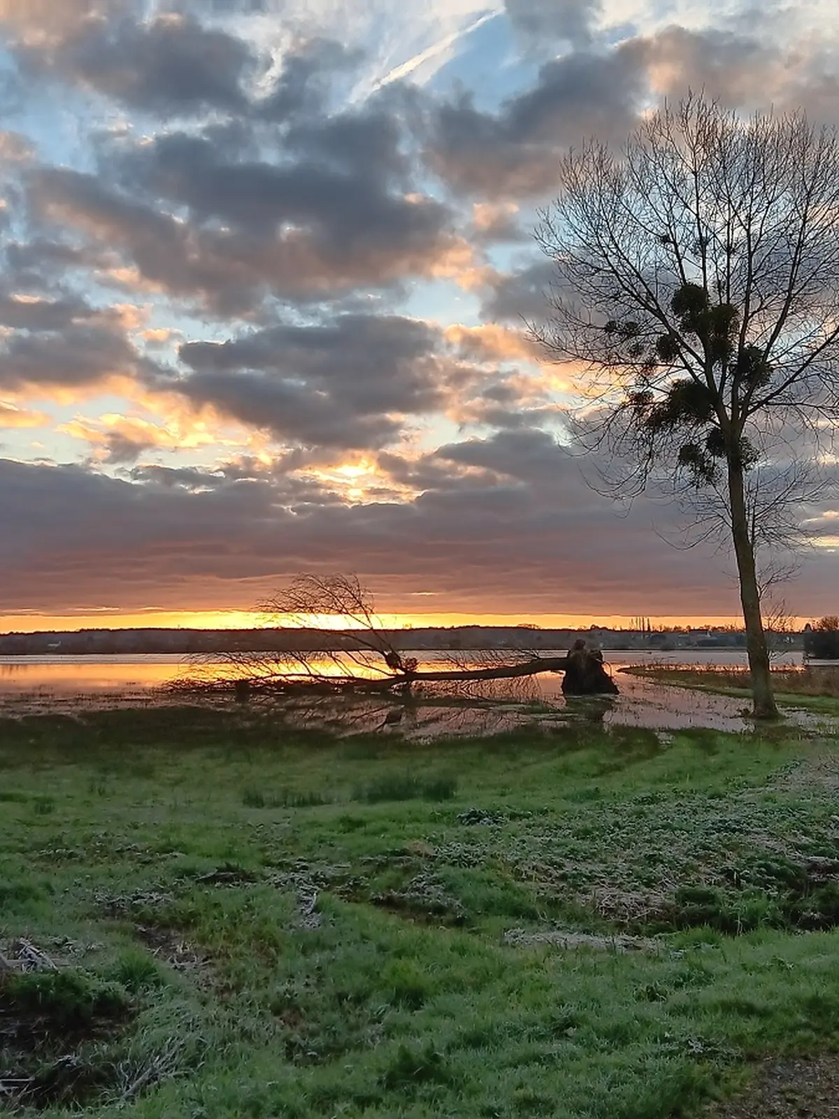 Les marais blancs de Carentan