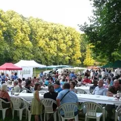 Les marchés du canal