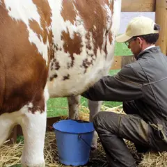 Les mardis à la Ferme du Lion d'Or