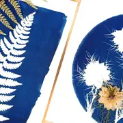 Les mardis de l'été « Atelier cyanotype »